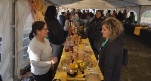 Aroma y sabor: Pitrufquén celebra la apicultura local y sus beneficios con la expo miel 2025