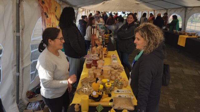 Aroma y sabor: Pitrufquén celebra la apicultura local y sus beneficios con la expo miel 2025