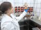 Identifican en Chile microorganismos biomineroscapaces de obtener metales valiosos desde relaves