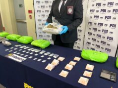 PDI Temuco saca de circulación 120 millones de pesos de cannabis sativa y clorhidrato de cocaína