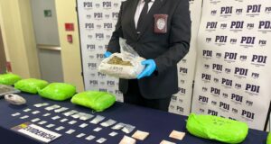 PDI Temuco saca de circulación 120 millones de pesos de cannabis sativa y clorhidrato de cocaína