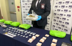 PDI Temuco saca de circulación 120 millones de pesos de cannabis sativa y clorhidrato de cocaína