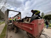 En Freire refuerzan compromiso con el medioambiente: exitoso operativo de reciclaje en Radal evita microbasurales