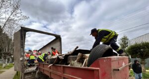 En Freire refuerzan compromiso con el medioambiente: exitoso operativo de reciclaje en Radal evita microbasurales