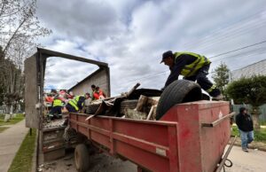 En Freire refuerzan compromiso con el medioambiente: exitoso operativo de reciclaje en Radal evita microbasurales