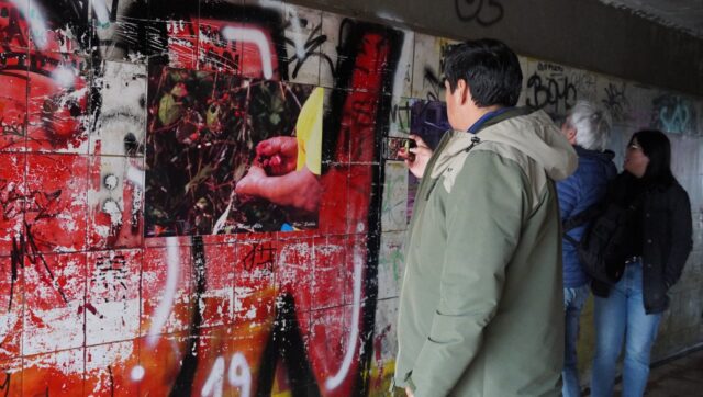 Intervención urbana en túnel de la ruta 5 sur destaca patrimonio fotográfico de Pitrufquén
