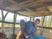 PDTI Territorio Costa de Freire, realizó amplio operativo sanitario