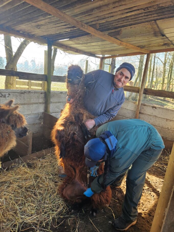 PDTI Territorio Costa de Freire, realizó amplio operativo sanitario