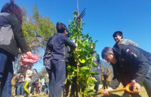 Parque del monumento al “Padre Pancho” fue reforestado por estudiantes de Pucón