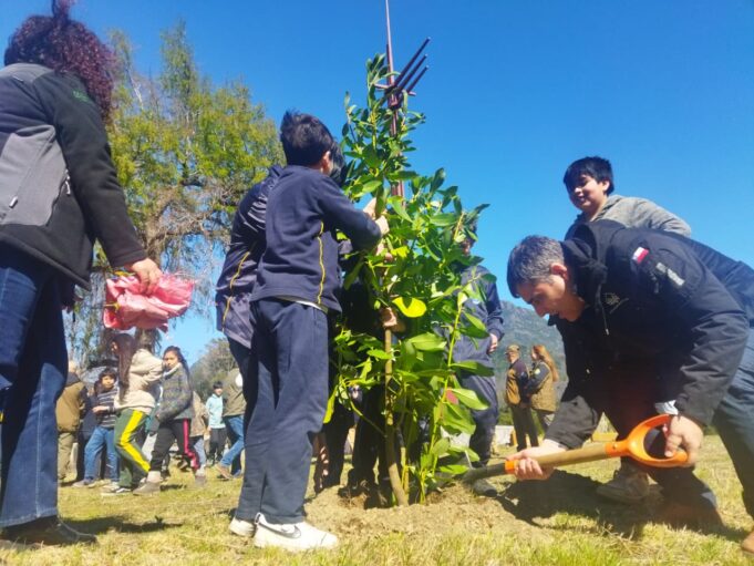 Parque del monumento al “Padre Pancho” fue reforestado por estudiantes de Pucón