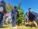 Parque del monumento al “Padre Pancho” fue reforestado por estudiantes de Pucón