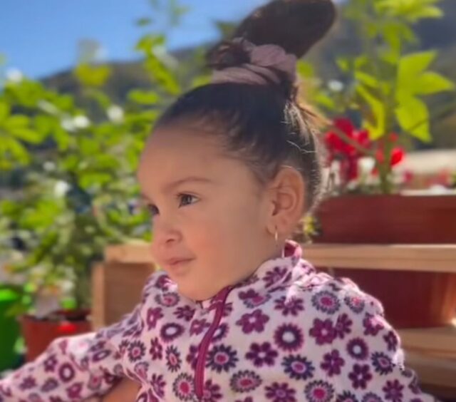 Justicia ordena al Minsal financiar costoso medicamento para niña de Curacautín