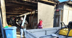 Usuarios de Prodesal de Freire recibieron importante aporte en insumos