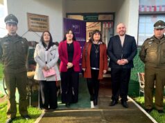 Plan 18 seguro: en La Araucanía dan a conocer medidas de prevención y protección en casos de violencia de género