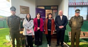 Plan 18 seguro: en La Araucanía dan a conocer medidas de prevención y protección en casos de violencia de género