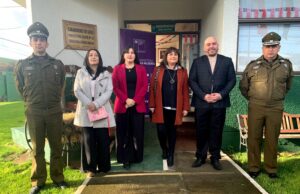 Plan 18 seguro: en La Araucanía dan a conocer medidas de prevención y protección en casos de violencia de género