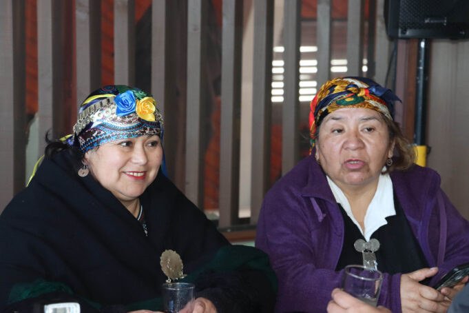 Villarrica saluda a sus valientes y esforzadas mujeres mapuche en el día internacional de la mujer indígena