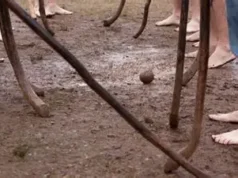 Detienen a sujeto acusado de homicidio durante encuentro de Palin en Puerto Saavedra