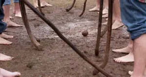 Detienen a sujeto acusado de homicidio durante encuentro de Palin en Puerto Saavedra