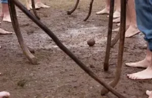 Detienen a sujeto acusado de homicidio durante encuentro de Palin en Puerto Saavedra