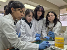 Equipos de Temuco, Angol y Pitrufquén representarán a La Araucanía en la feria científica nacional 2025