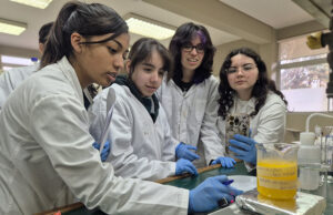 Equipos de Temuco, Angol y Pitrufquén representarán a La Araucanía en la feria científica nacional 2025