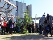 Alcaldesa y concejal participan en conmemoración del día de la mujer indígena en Pitrufquén