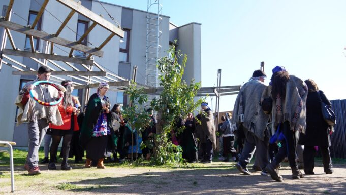 Alcaldesa y concejal participan en conmemoración del día de la mujer indígena en Pitrufquén