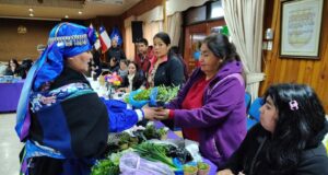 Freire conmemoró el día de la mujer indígena con trafkintu intercultural