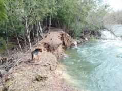 Riesgo de desborde del río Toltén preocupa a vecinos de Carilafquén en Pitrufquén