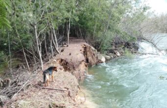 Riesgo de desborde del río Toltén preocupa a vecinos de Carilafquén en Pitrufquén