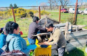 En la comuna de Freire capacitación en especies forrajeras reúne a agricultores del territorio de Huilio