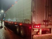 Fiscalizan transporte de carga en Loncoche para resguardar la seguridad