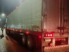 Fiscalizan transporte de carga en Loncoche para resguardar la seguridad