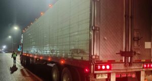 Fiscalizan transporte de carga en Loncoche para resguardar la seguridad