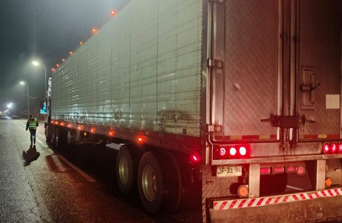 Fiscalizan transporte de carga en Loncoche para resguardar la seguridad