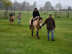 Estudiantes de la escuela Los Perales de Gorbea participan en jornada pedagógica-recreativa en granja Los ciervos