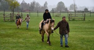 Estudiantes de la escuela Los Perales de Gorbea participan en jornada pedagógica-recreativa en granja Los ciervos