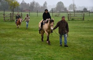 Estudiantes de la escuela Los Perales de Gorbea participan en jornada pedagógica-recreativa en granja Los ciervos