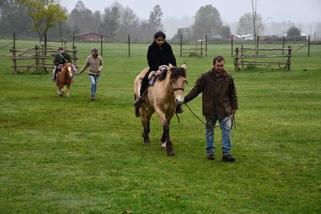Estudiantes de la escuela Los Perales de Gorbea participan en jornada pedagógica-recreativa en granja Los ciervos