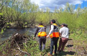 Encuentran sin vida a adulta mayor que cayó al río El Naranjo en Lonquimay