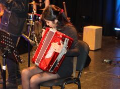 Villarrica celebró el día nacional de la música chilena con emotivo encuentro artístico en liquen entro cultural