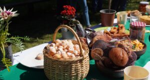 Este fin de semana será la fiesta de la nalca y el digueñe en el sector de Colga Pitrufquén