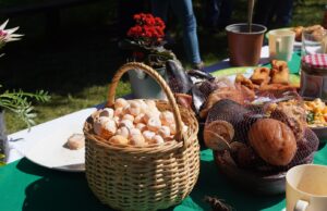 Este fin de semana será la fiesta de la nalca y el digueñe en el sector de Colga Pitrufquén