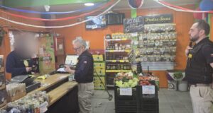 En Temuco, Pitrufquén y Freire la PDI realiza fiscalización de extranjeros