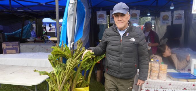 Feria de la nalca y el digüeñe reunió a miles en Pitrufquén en un fin de semana lleno de sabor y tradición