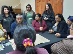 Salud municipal y comunidades mapuches de Pitrufquén trabajan en elaboración de modelo de salud intercultural