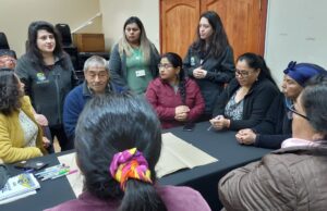 Salud municipal y comunidades mapuches de Pitrufquén trabajan en elaboración de modelo de salud intercultural