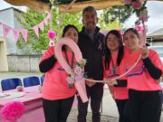 Cesfam de Freire realiza Expo Salud para promover la vida sana y acercar sus servicios a la comunidad