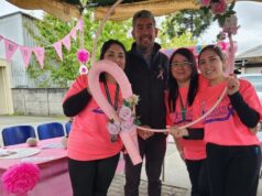 Cesfam de Freire realiza Expo Salud para promover la vida sana y acercar sus servicios a la comunidad